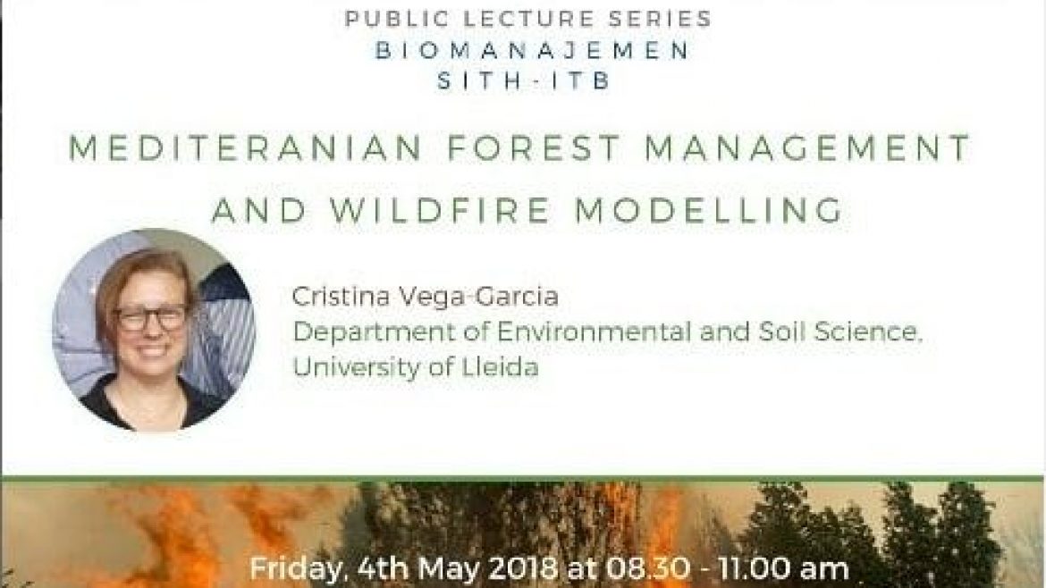 Mediterranean forest management and wildlife forest modelling